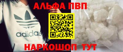 СК Новозыбков