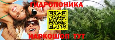Альфа ПВП Новокубанск