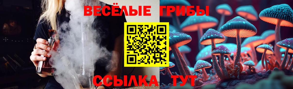 Галлюциногенные грибы мицелий Волгоград